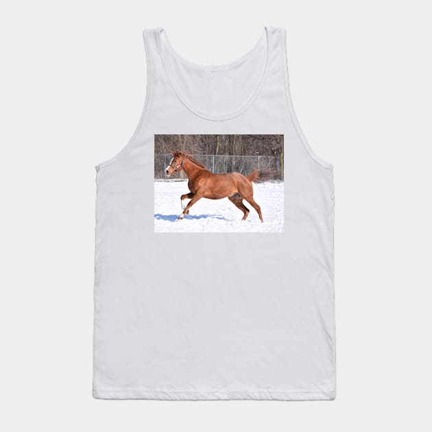Verrazano filly Tank Top by theartsyeq